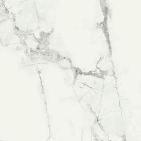 Carrara Marble Gloss